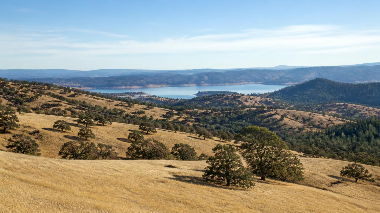 Golden oak-studded Sierra Nevada foothills above Folsom Lake east of Sacramento, marking the eastern edge of the 50-mile vendor coverage radius