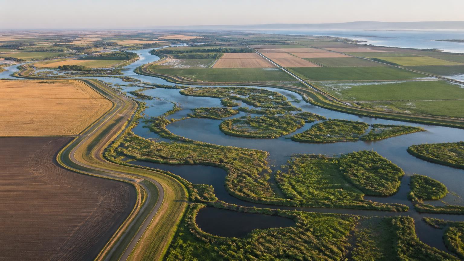 Aerial view of Sacramento–San Joaquin Delta levees, sloughs and farm fields southwest of Sacramento, the southwestern boundary of the regional coverage grid